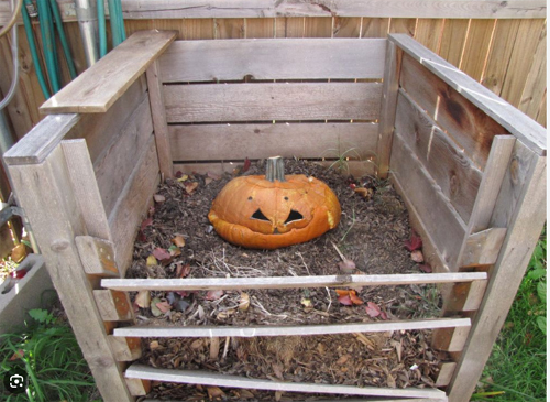 Composting your Halloween pumpkins!