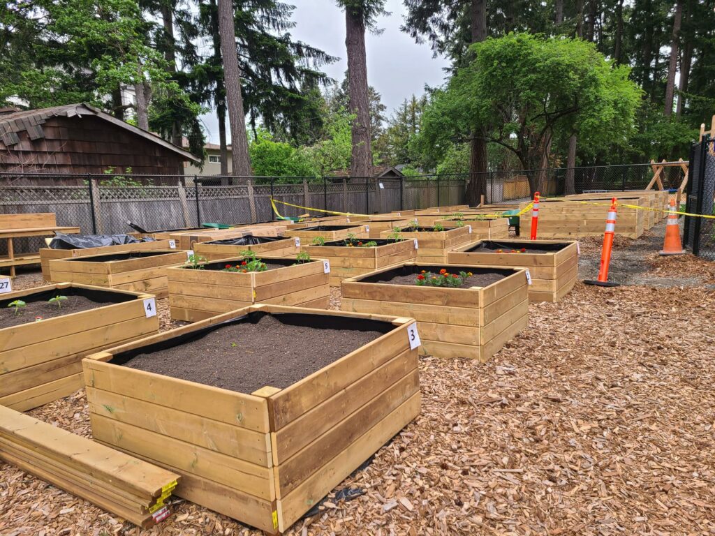 garden boxes, community garden