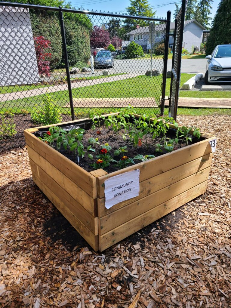 community garden, food donation