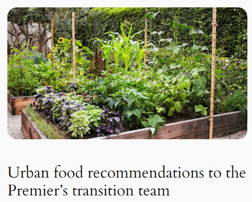 UFRIS, food resilience recommendations