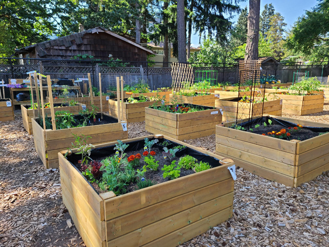 Summer gardens are watered and growing