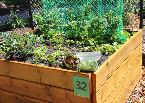 peas, box 32, porcher park