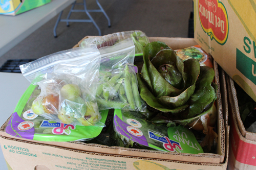 Porcher Park Community Garden harvest donations to Living Edge Westshore