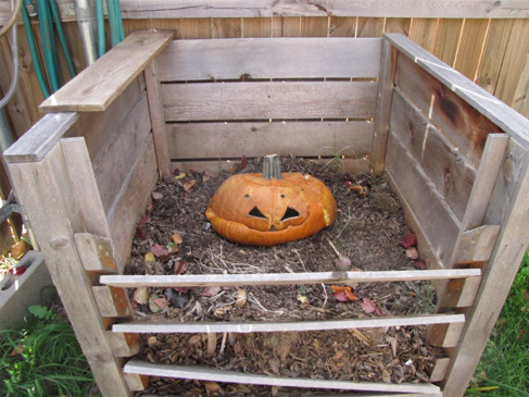 pumpkins, compost