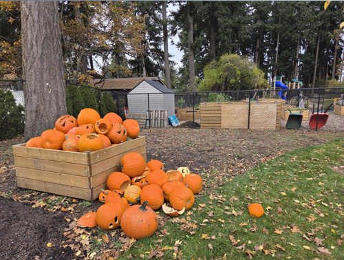pumpkins, compost