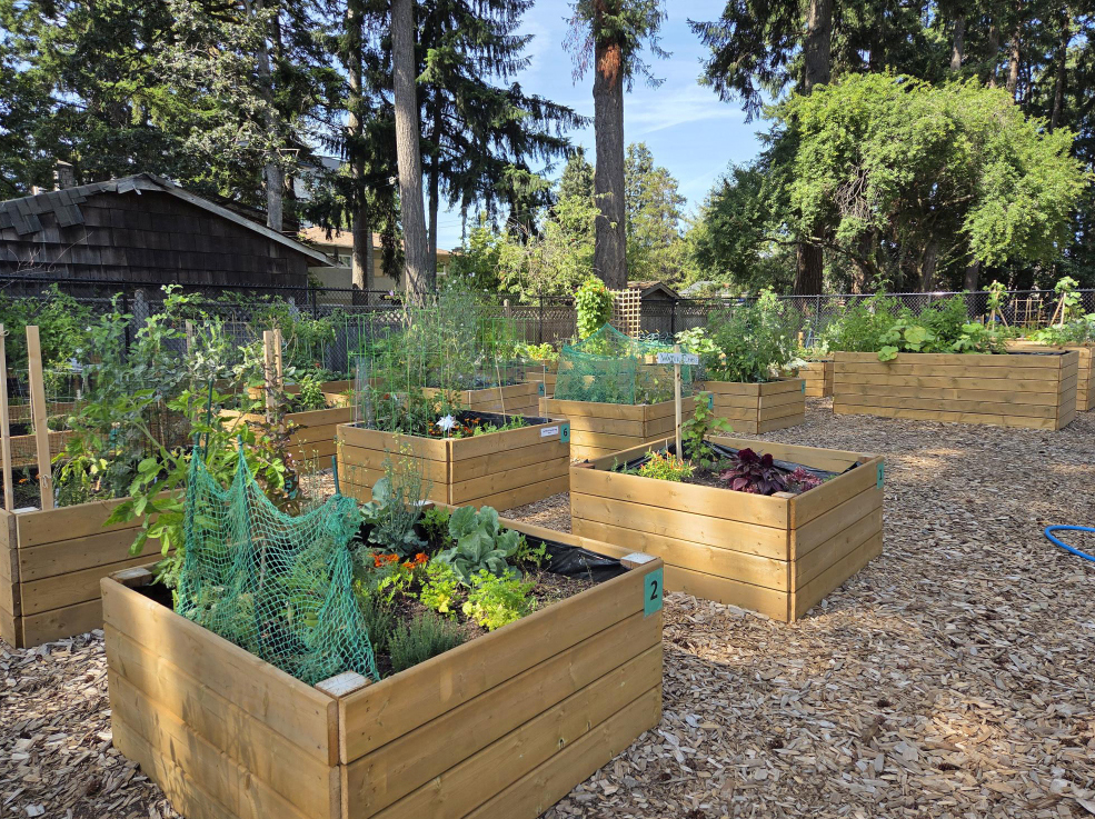 porcher park, community garden