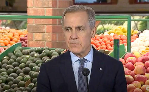 prime minister, mark carney, grocery store