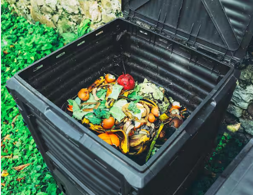 backyard, compost bin, kitchen scraps